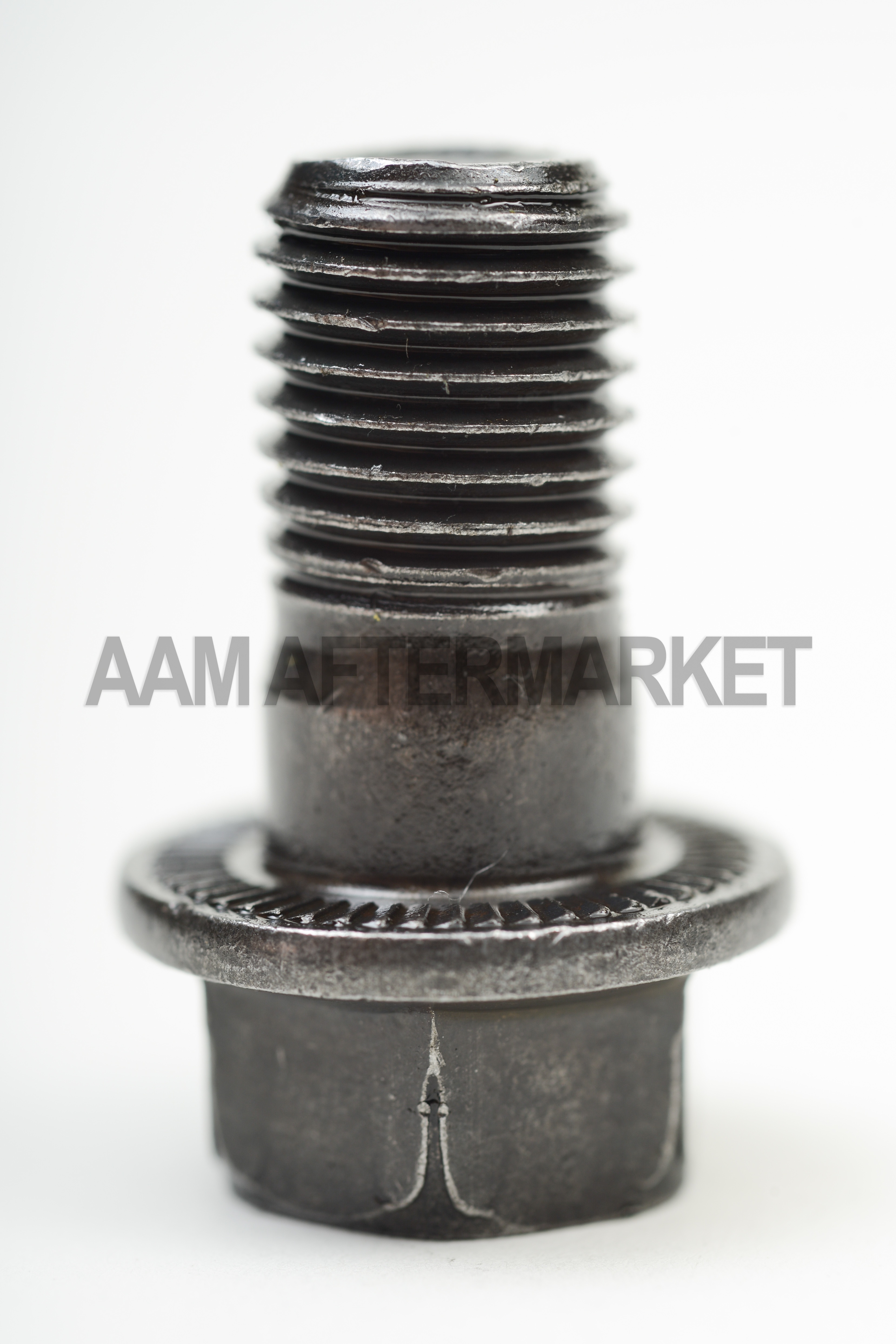 AAM Left Hand Thread Ring Gear Bolt - 14012703