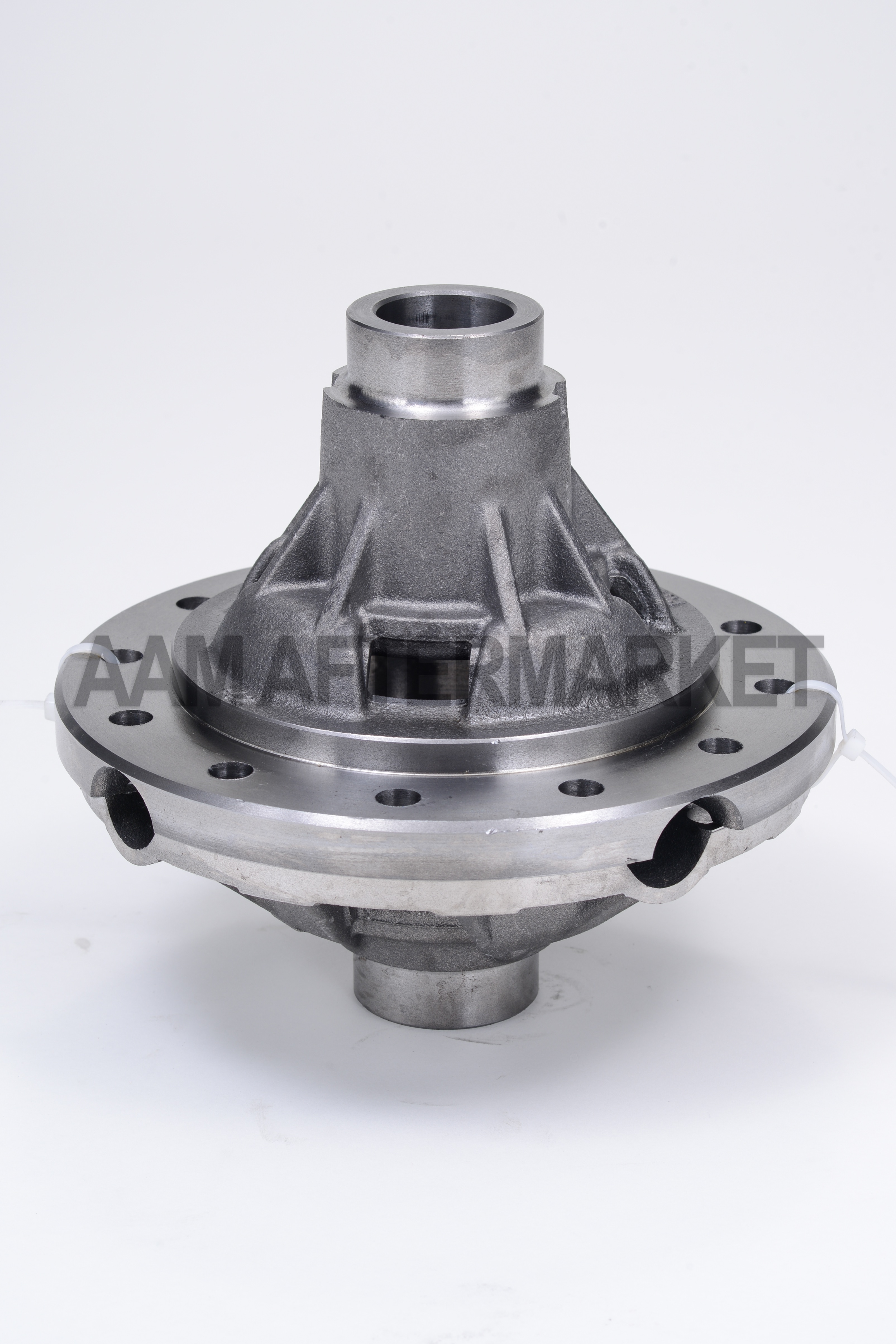 AAM New GM Differential Carrier - No Internal Gears - 26067357