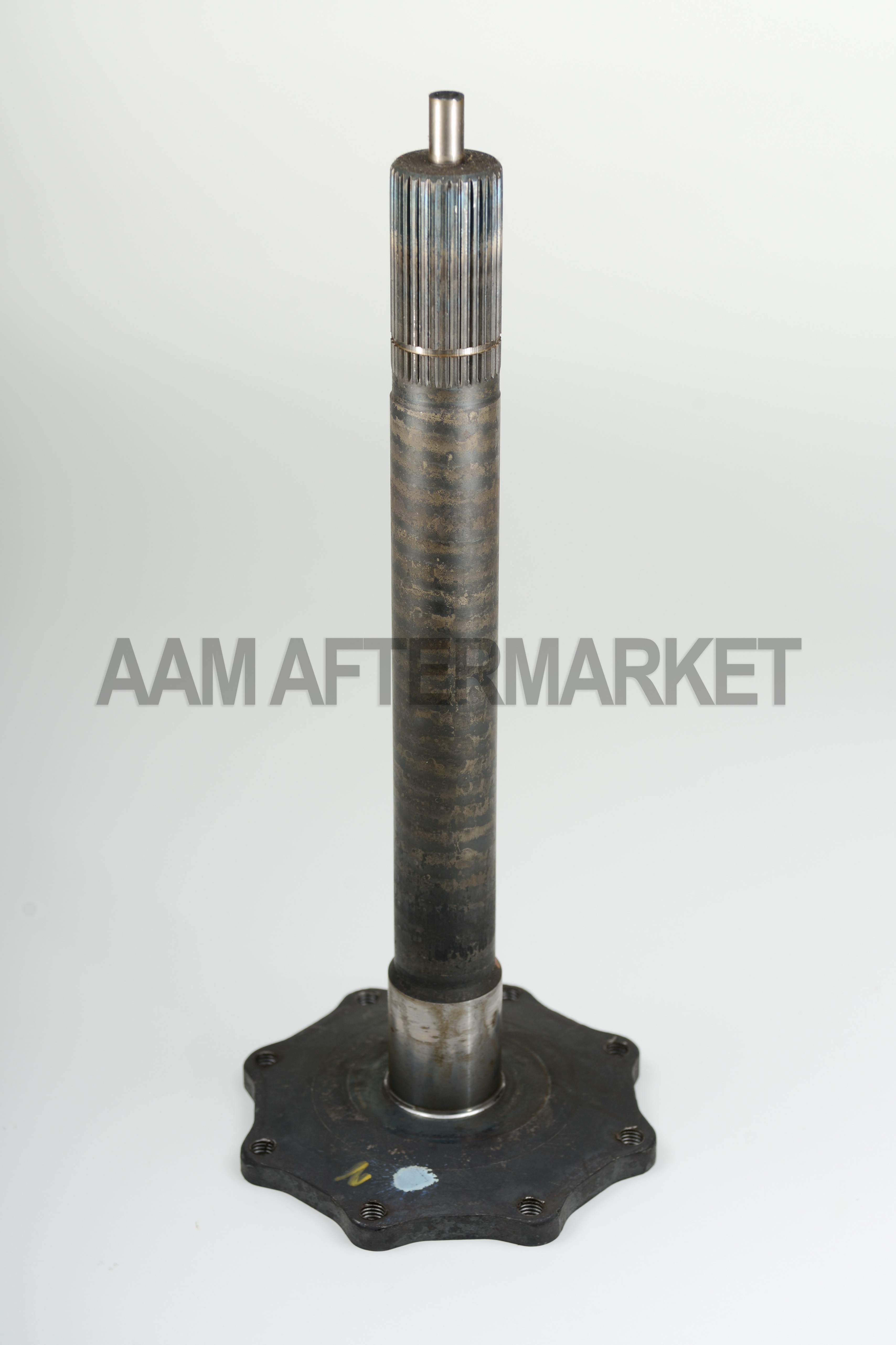 AAM New Output Shaft, GM 9.25 Inch Salisbury - Front Axle, Right - 40058313