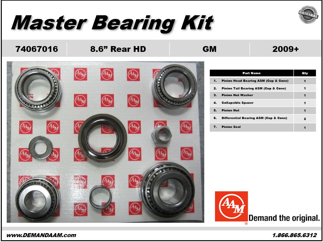 AAM Master Bearing Kit - 74067016