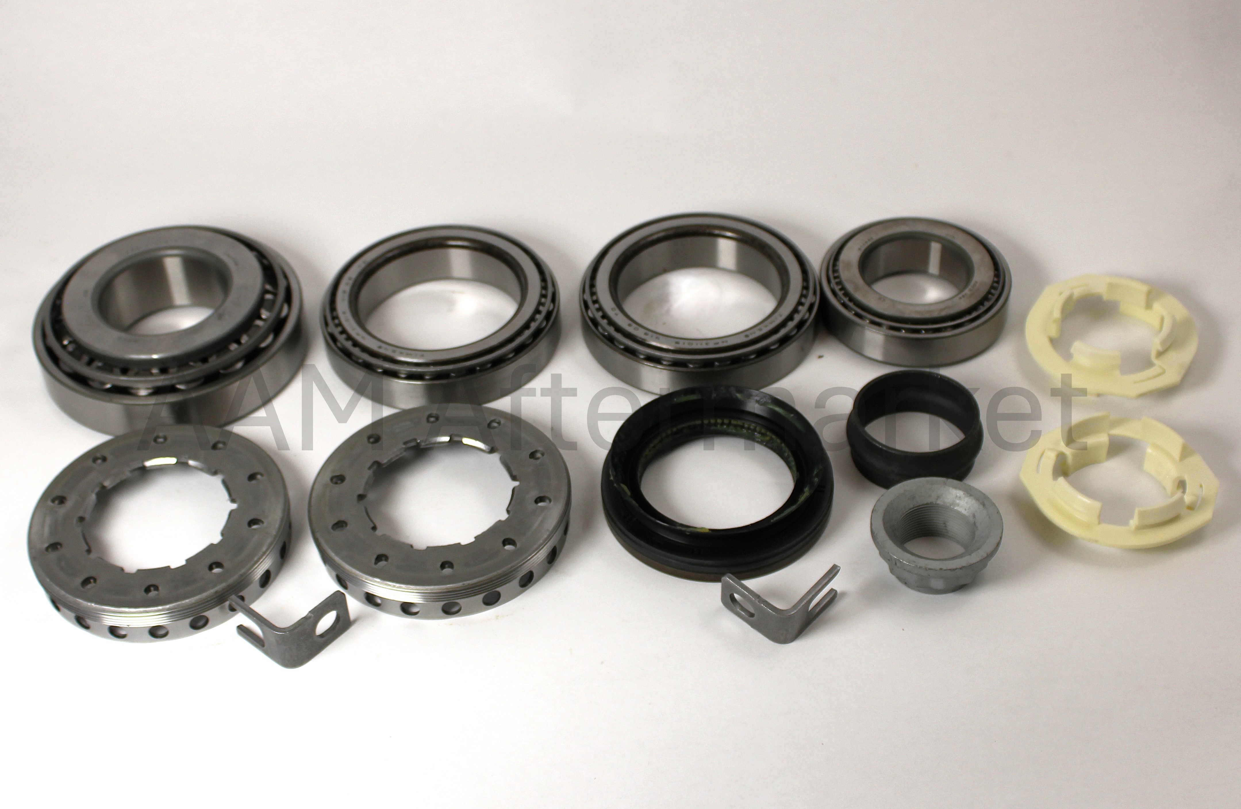 AAM Master Bearing Kit - 74067028