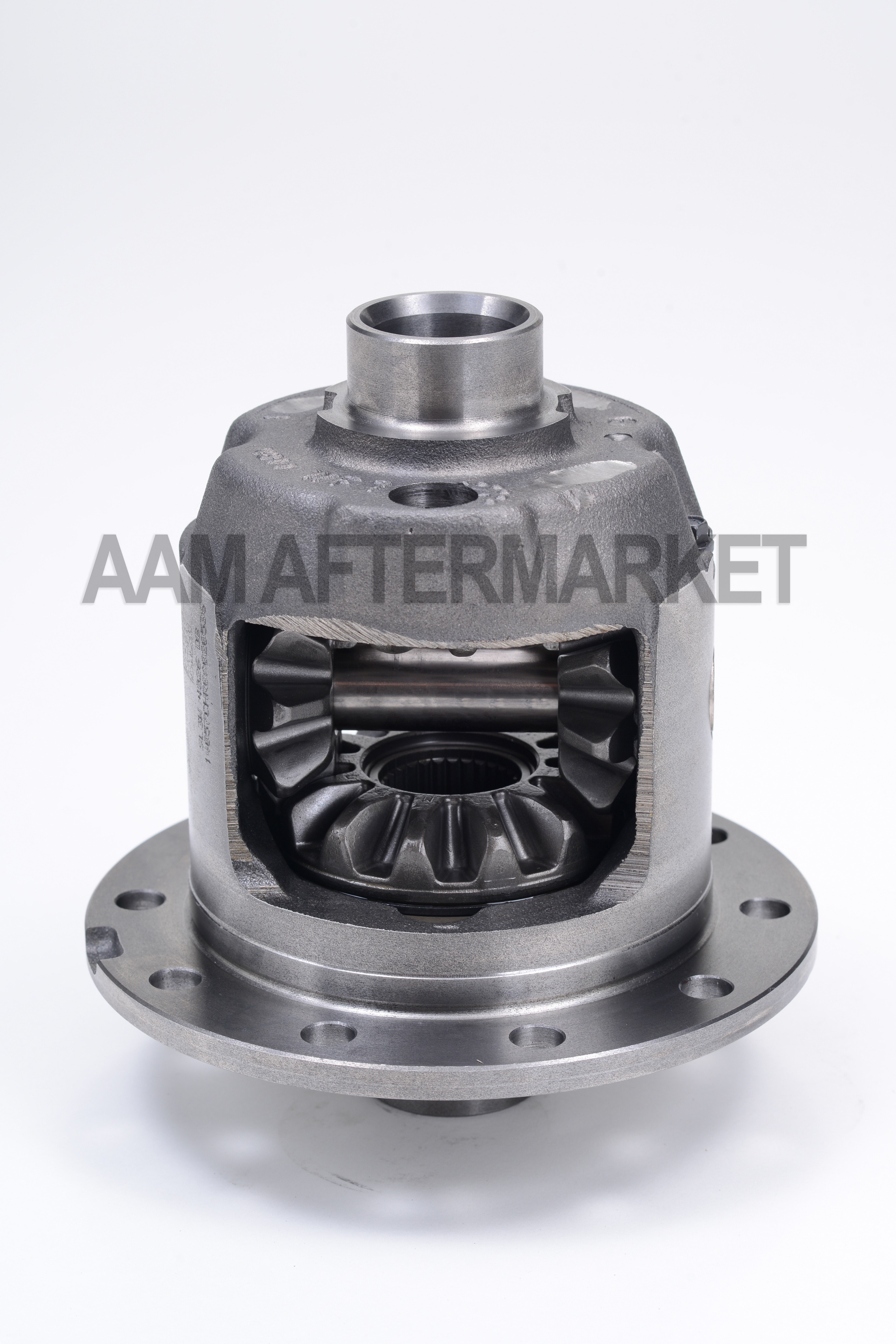 AAM New Ford Differential Carrier - Traction Enhancing - AL3Z4026A
