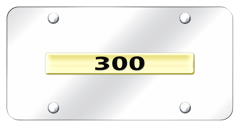 300 Name License Plate - Gold on Mirrored