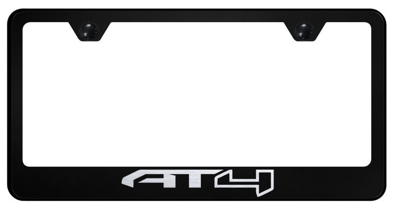 AT4 Stainless Steel Frame - Laser Etched Black