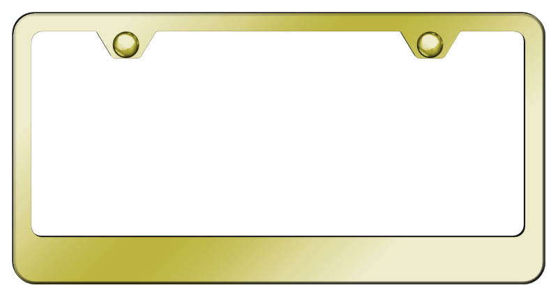 Blank Stainless Steel Frame - Gold