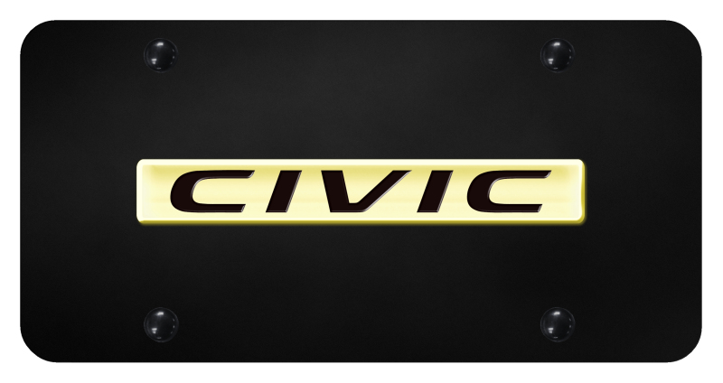Civic Name License Plate - Gold on Black
