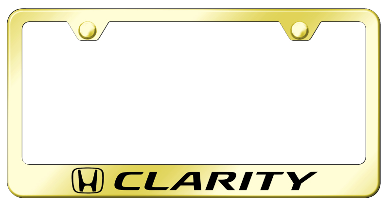 Clarity Stainless Steel Frame - Laser Etched Gold