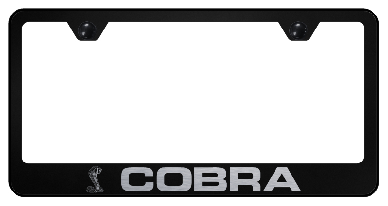 Cobra Stainless Steel Frame - Laser Etched Black