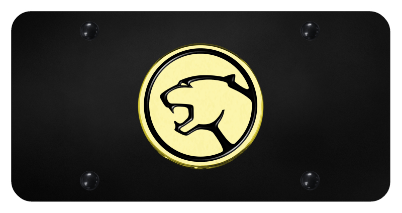 Cougar License Plate - Gold on Black