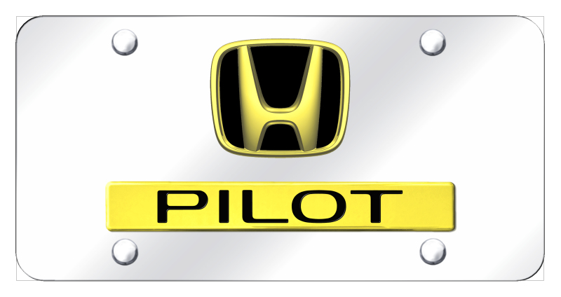 Dual Pilot License Plate - Gold on Mirrored