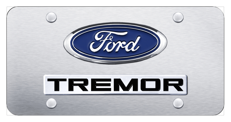 Dual Tremor License Plate - Chrome on Brushed