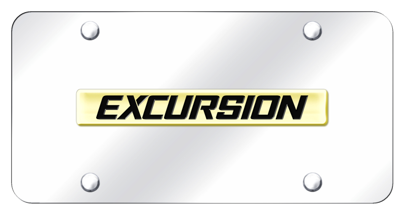 Excursion Name License Plate - Gold on Mirrored