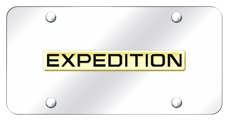 Expedition Name License Plate - Gold on Mirrored
