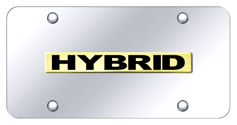 Hybrid Name License Plate - Gold on Mirrored