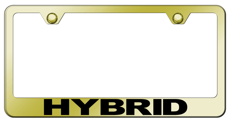 Hybrid Stainless Steel Frame - Laser Etched Gold