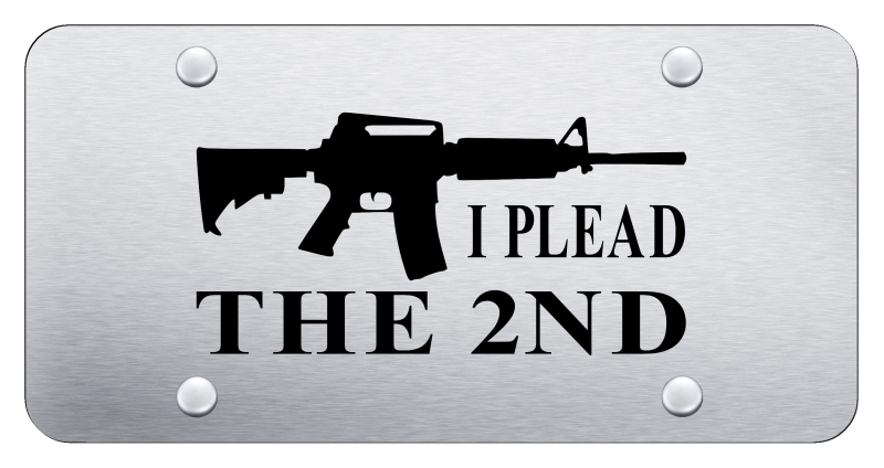 I Plead the Second License Plate - Laser Etched Brushed