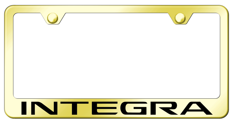 Integra Stainless Steel Frame - Laser Etched Gold