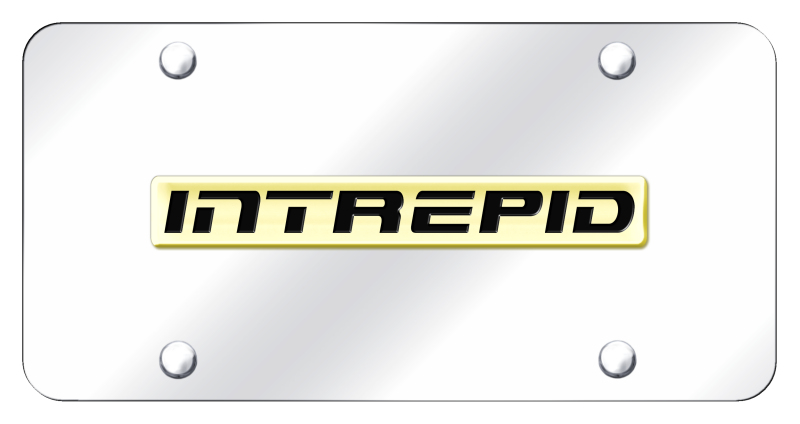 Intrepid Name License Plate - Gold on Mirrored