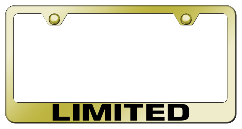 Limited Stainless Steel Frame - Laser Etched Gold