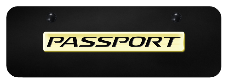 Passport Name Mini Plate - Gold on Black