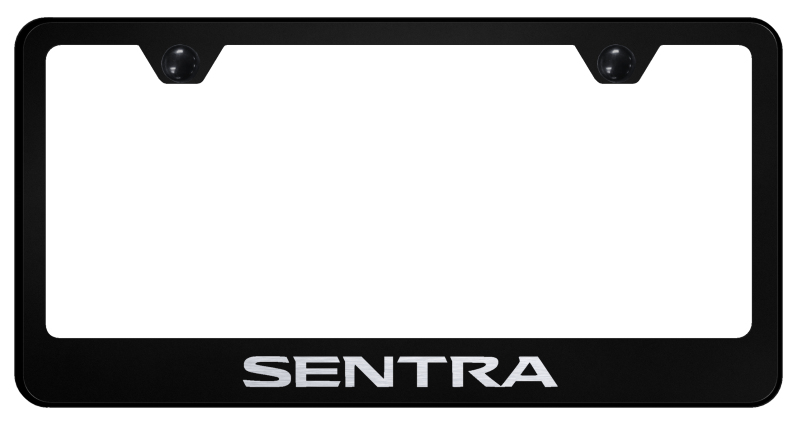 Sentra Stainless Steel Frame - Laser Etched Black