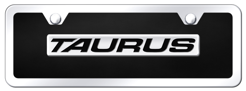 Taurus Name Acrylic Mini Kit - Chrome on Black