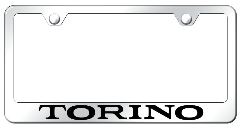 Torino Stainless Steel Frame - Laser Etched Mirrored