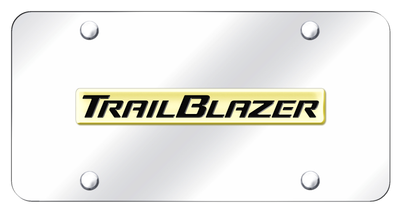 Trailblazer Name License Plate - Gold on Mirrored