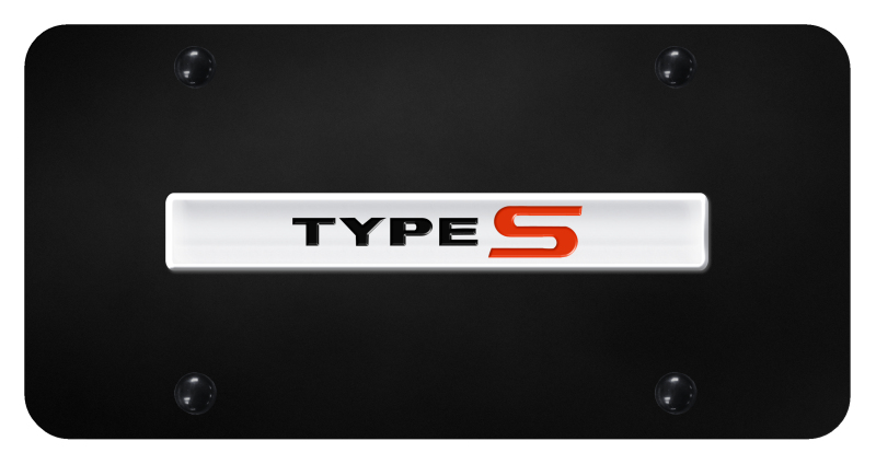Type-S Name License Plate - Chrome on Black