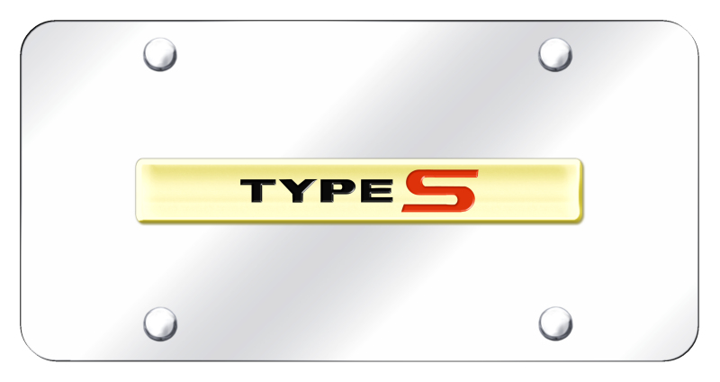 Type-S Name License Plate - Gold on Mirrored