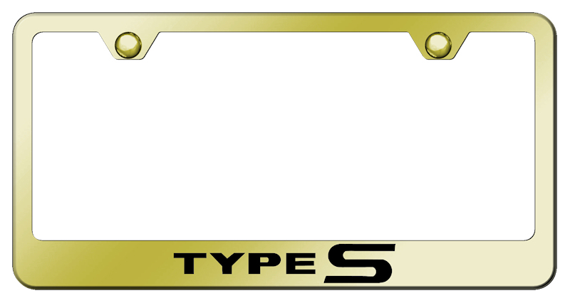 Type-S Stainless Steel Frame - Laser Etched Gold