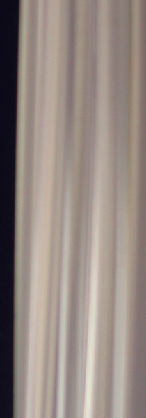 Trimbrite Deluxe Door Edge Moldings (Pair) - Color:White