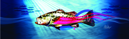 Grafix Jam Bass Fish Rear Window Decal - Size:58 X 18