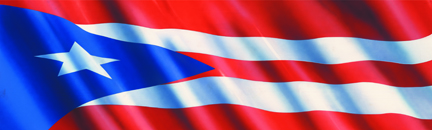 Puerto Rican Flag Rear Window Decal - Size:53 x 14