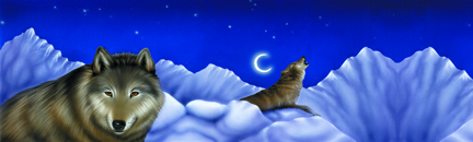 Wolves Rear Window Decal - Size:58 x 18