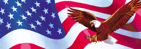 Wings of Glory Rear Window Decal - Size:Full size Pickup