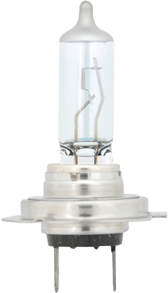 Economy H7 Halogen Bulb