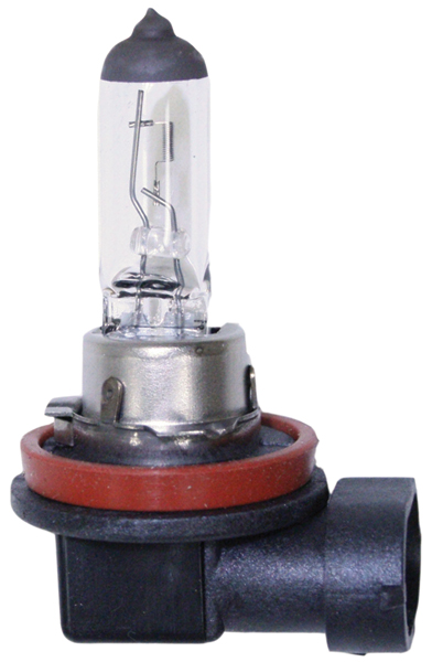 Economy H8 Halogen Bulb