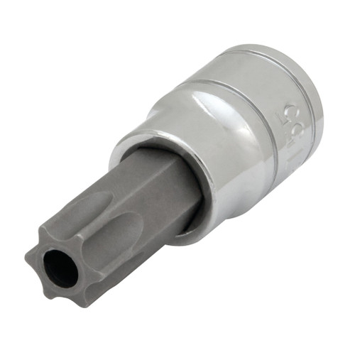 PERFORMANCE TOOL 3/8" DRIVE T55 TAMPER RESISTANT TORX STAR BIT SOCKET