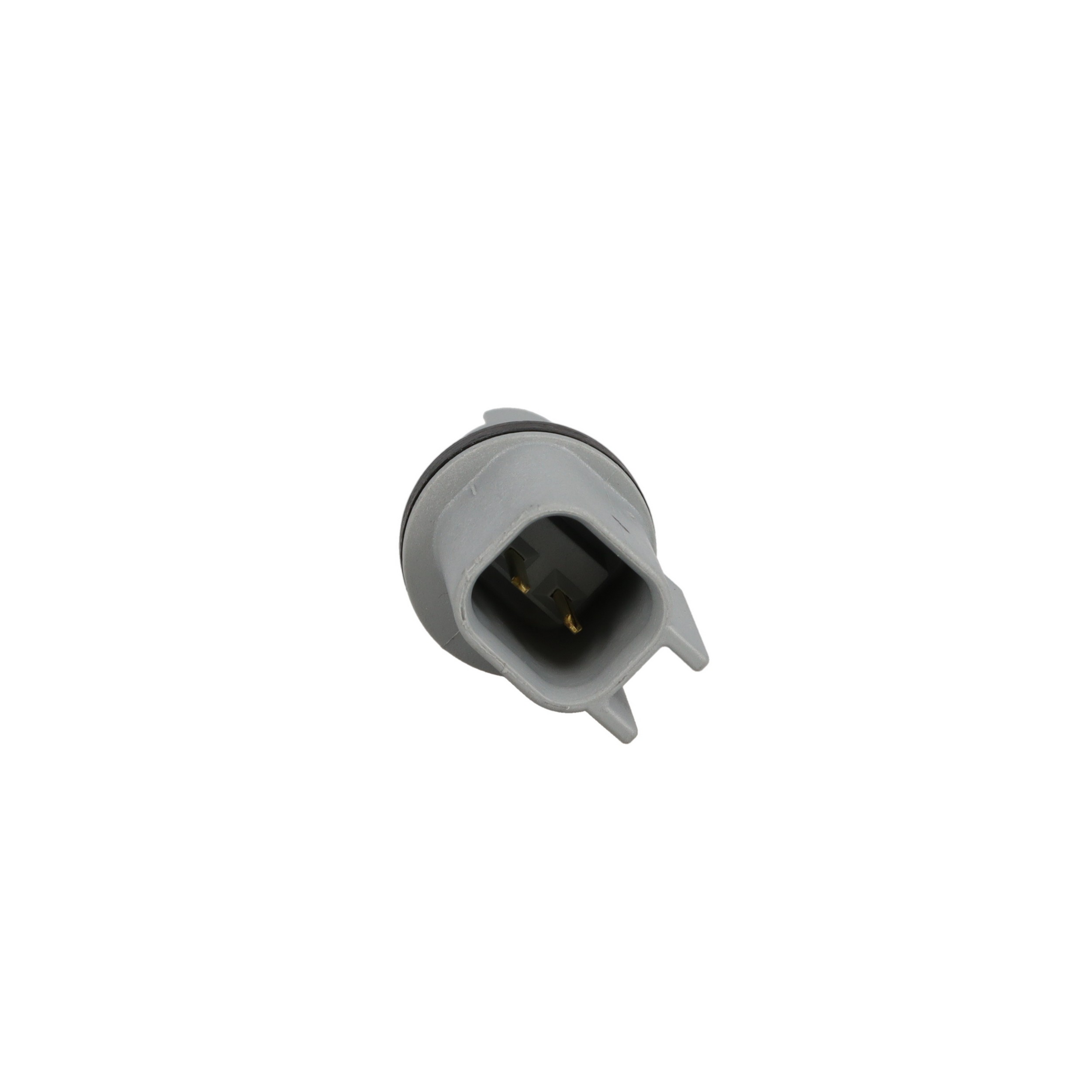 Side Marker Light Socket