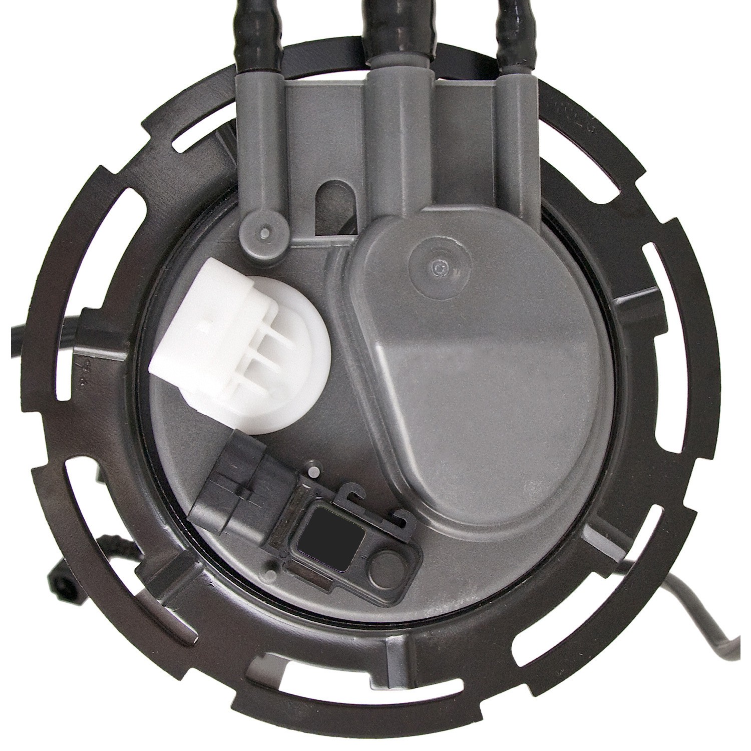 Fuel Pump Module Assembly