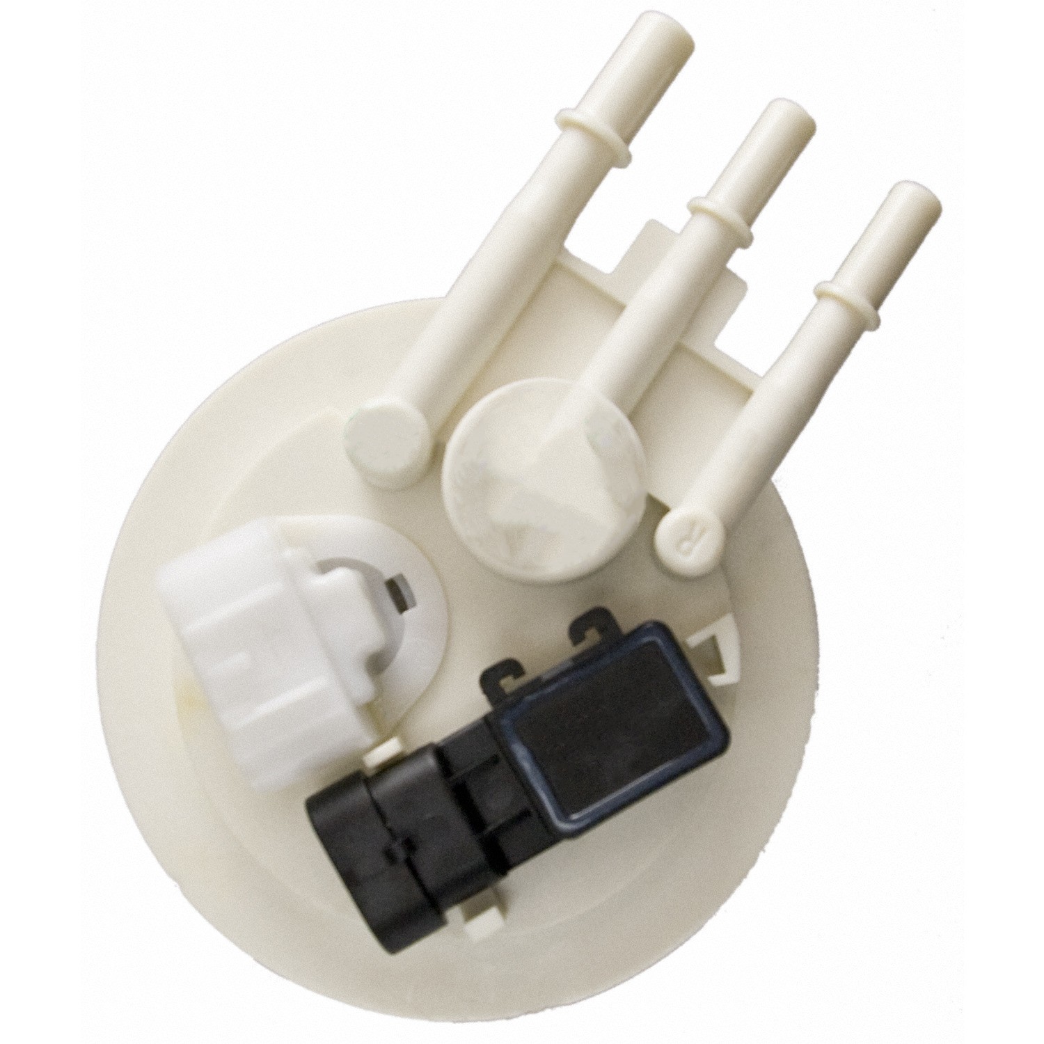 Fuel Pump Module Assembly