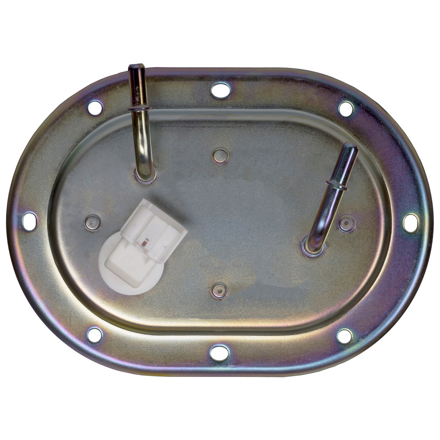 Fuel Pump Module Assembly