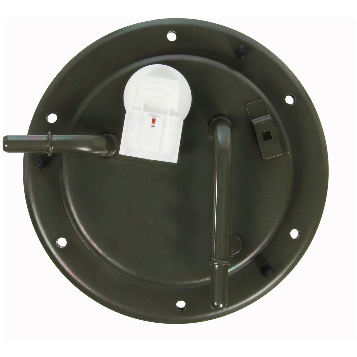 Fuel Pump Module Assembly