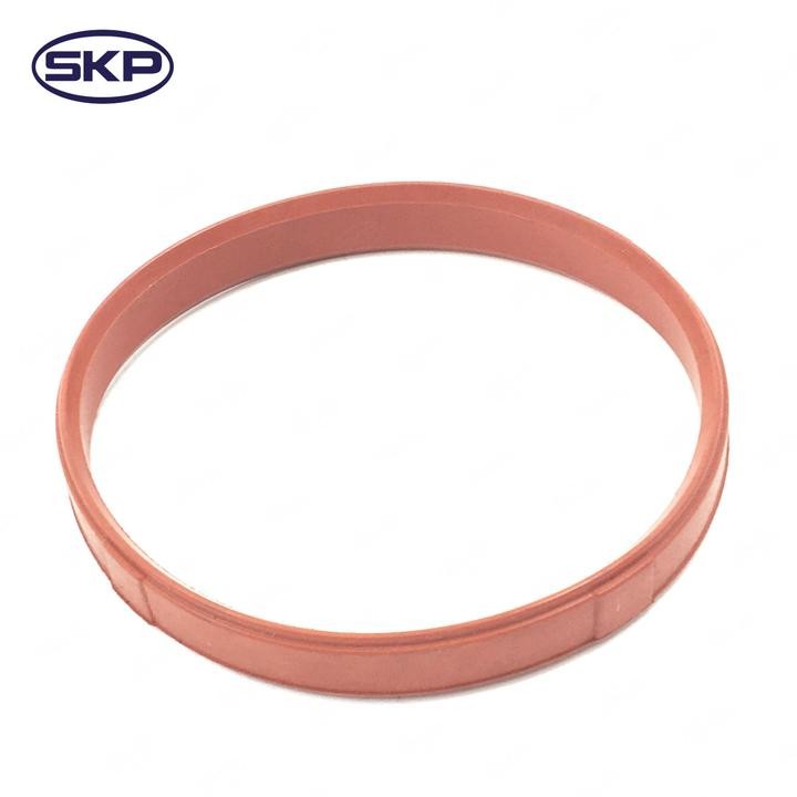 Throttle Body Water Housing Gasket