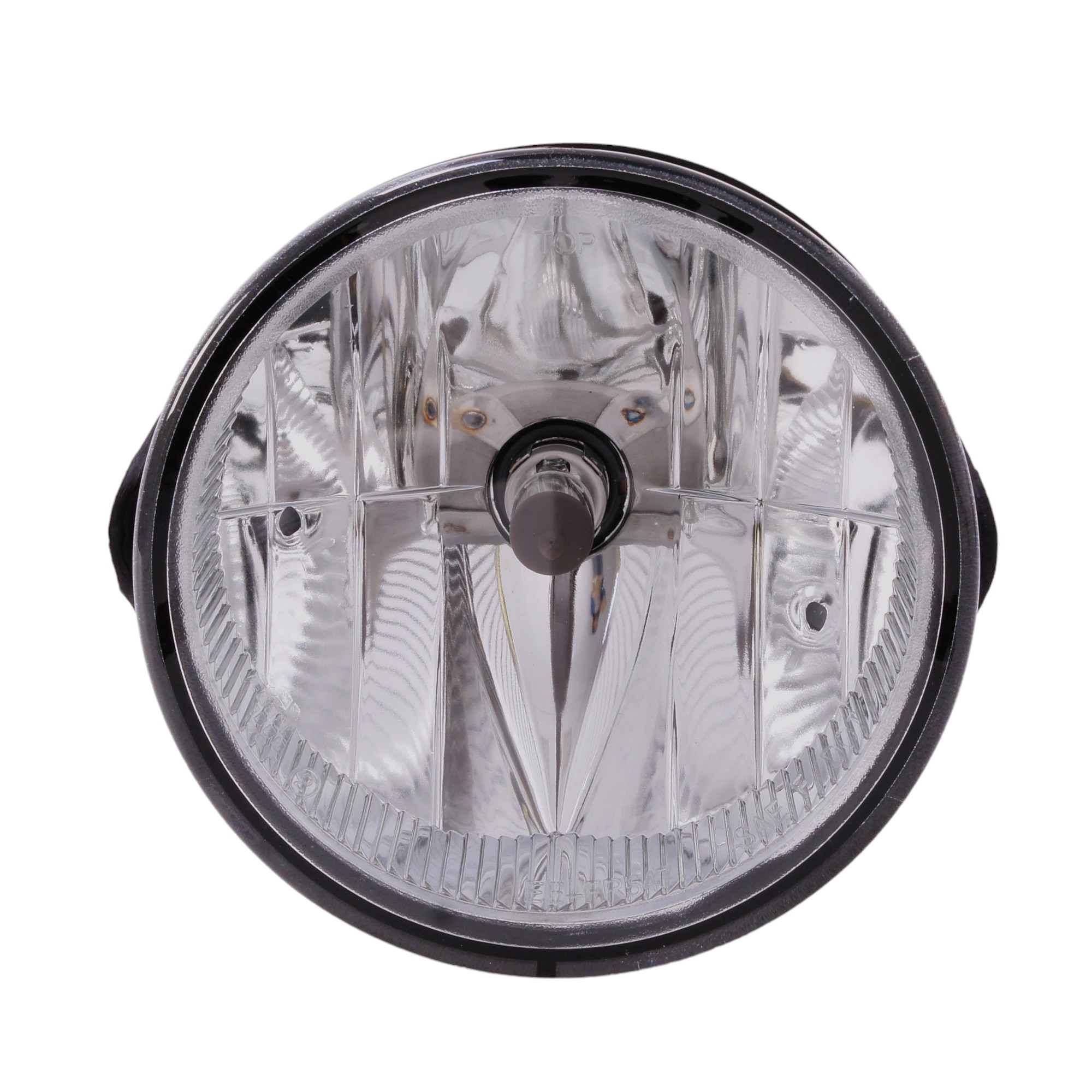 Fog Light Assembly