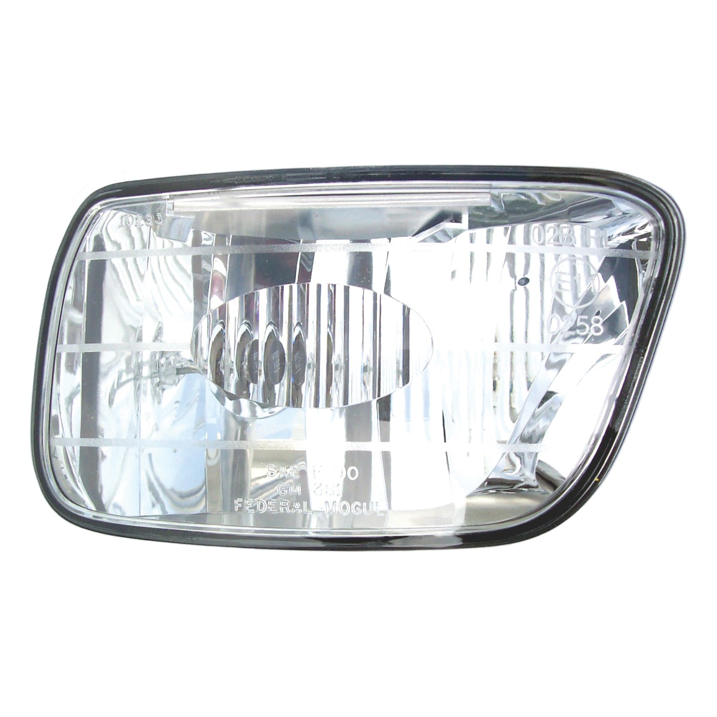 Fog Light Assembly