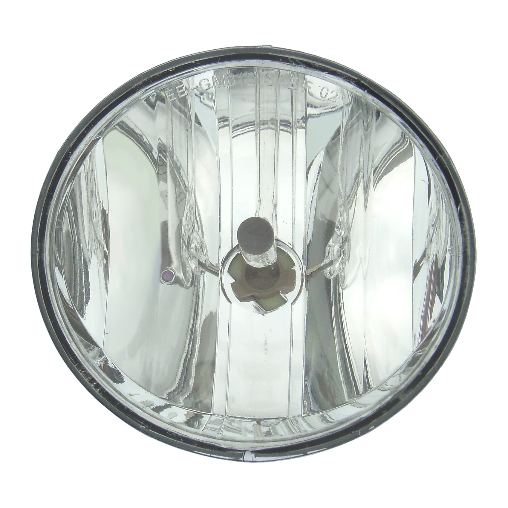 Fog Light Assembly