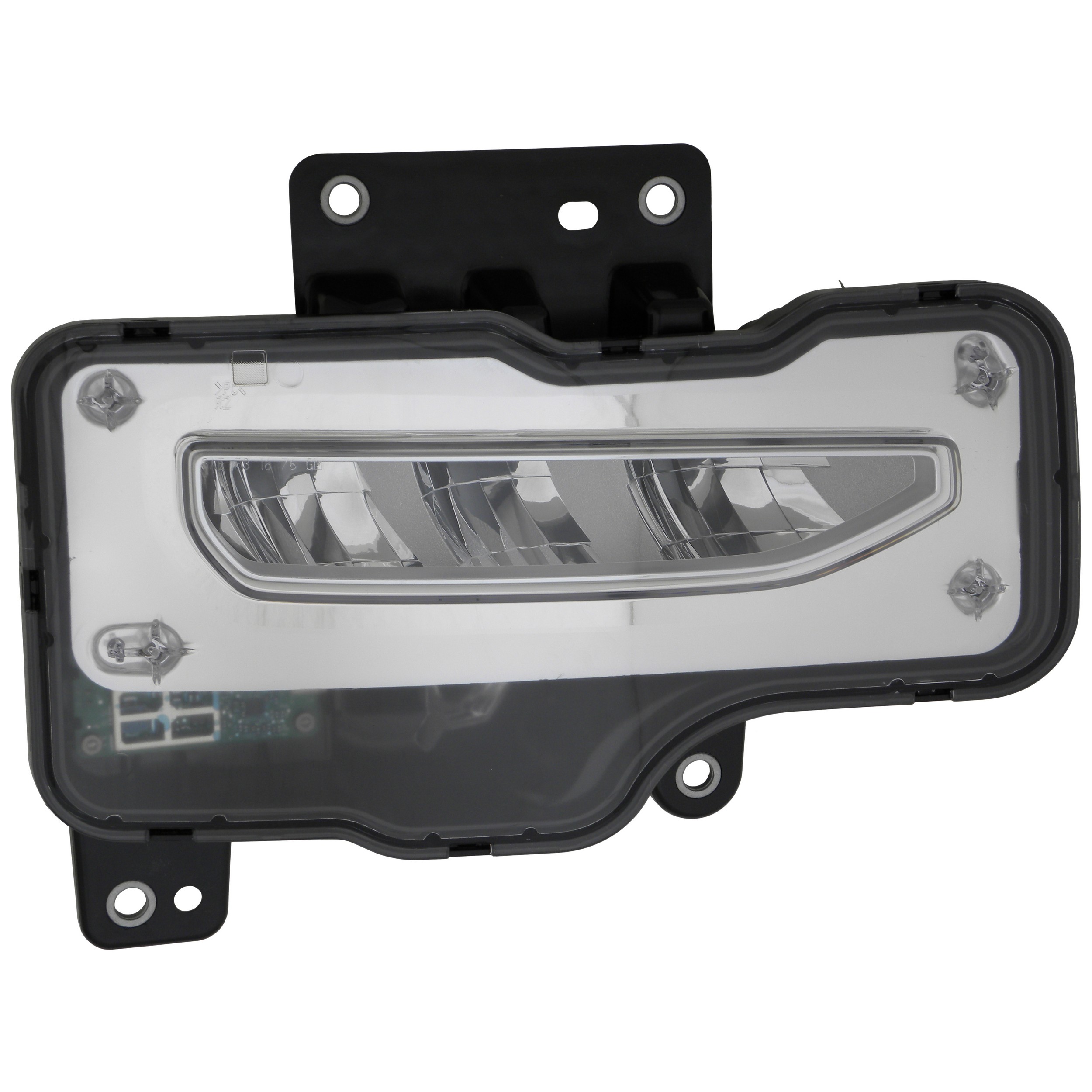 Fog Light Assembly