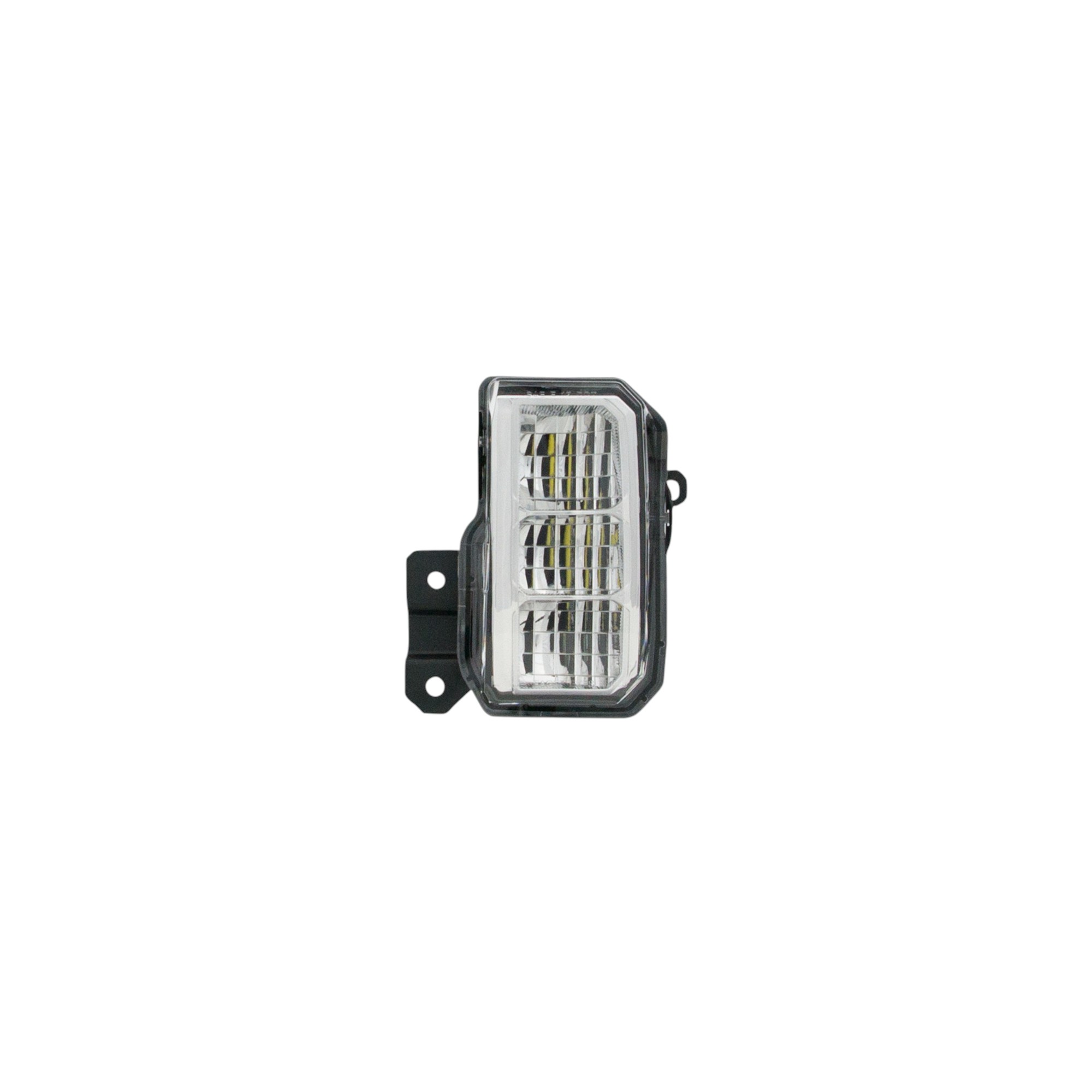 Fog Light Assembly